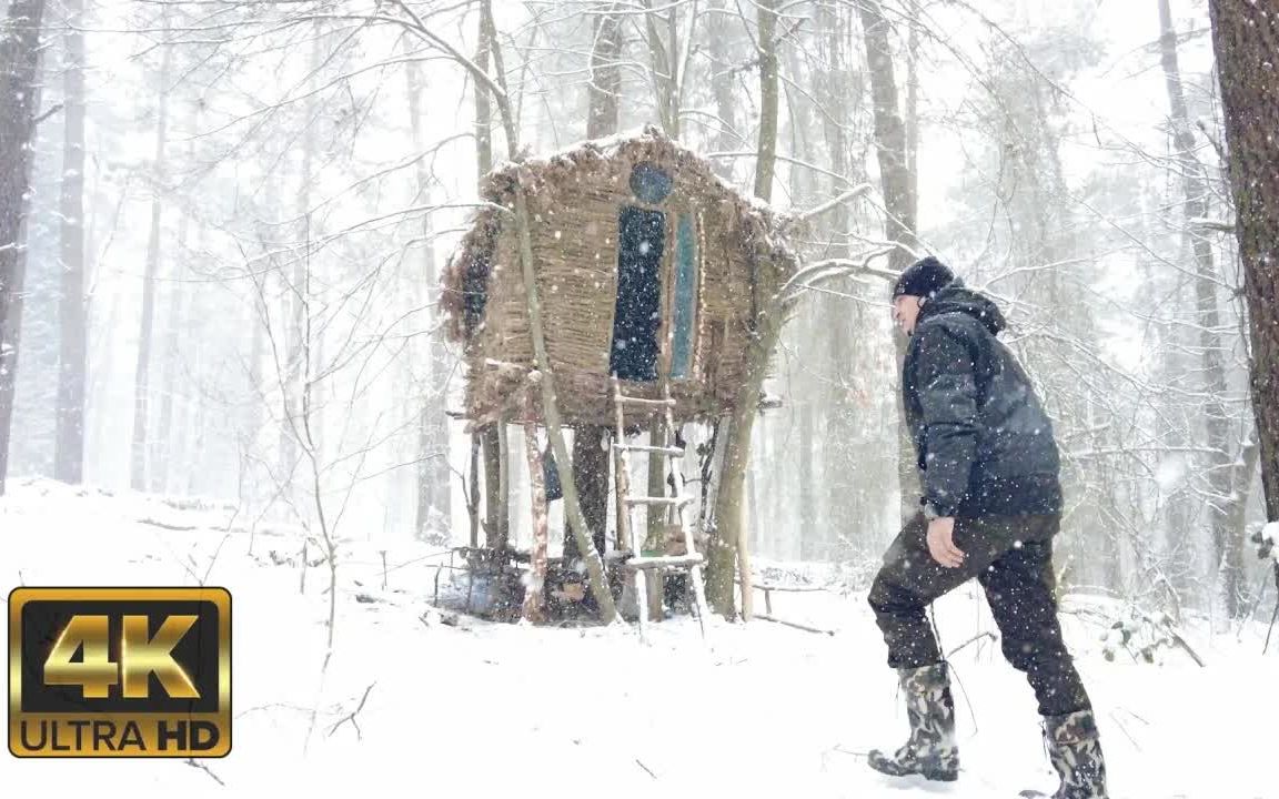 [图]暴风雪丛林，树上生存！