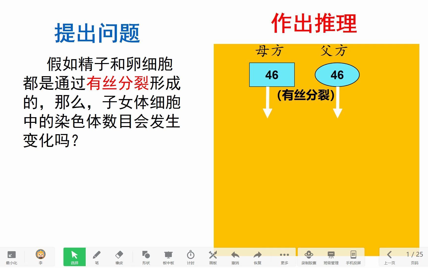 精子形成过程哔哩哔哩bilibili