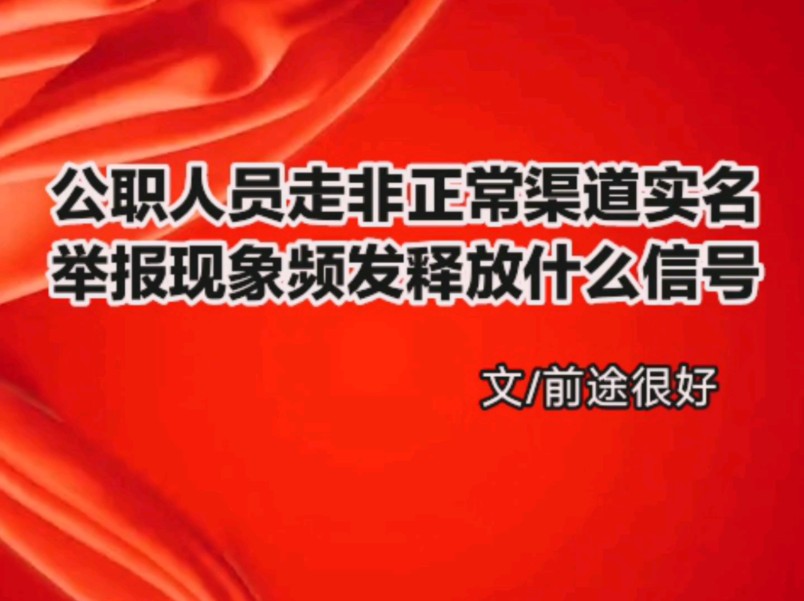 公职人员信网不信访、不信法,走非正常渠道实名举报现象频发,是否值得我们深刻反思?哔哩哔哩bilibili