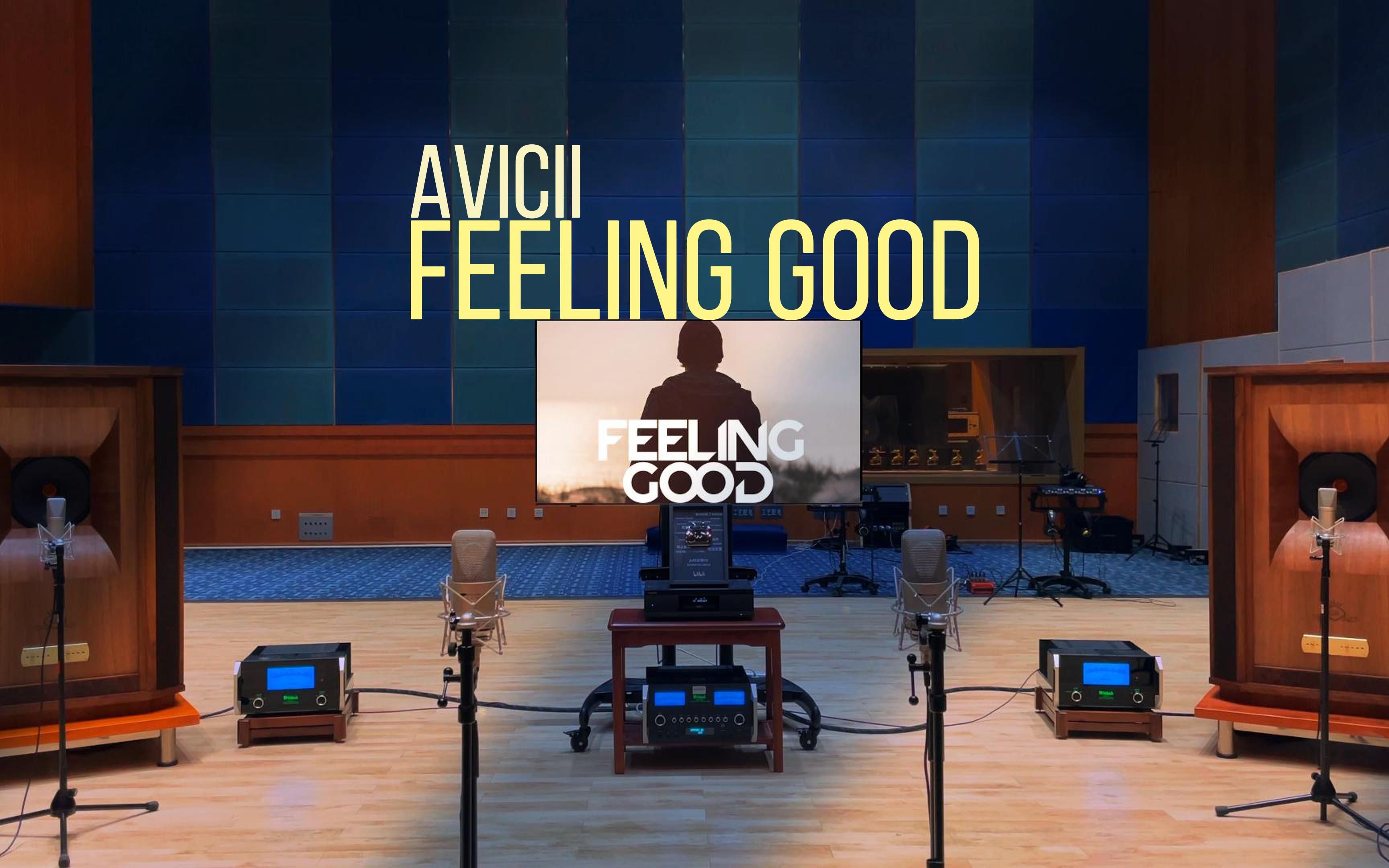 [图]百万级装备试听 Feeling Good - Avicii，Nina Simone【Hi-Res】