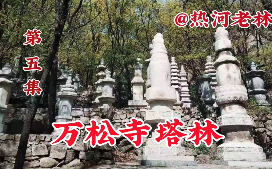 盘山万松寺塔林拥有九十九座宝塔的万松寺石塔林哔哩哔哩bilibili