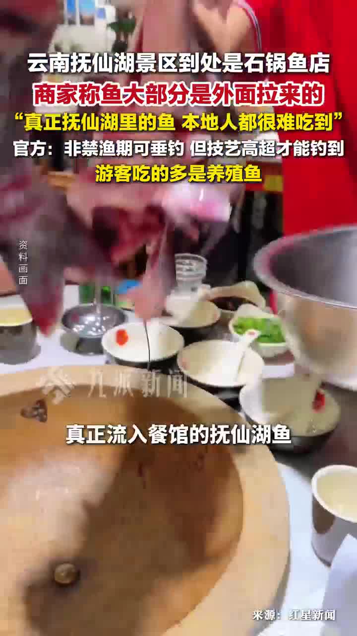 官方称抚仙湖景区石锅鱼多是养殖鱼 ：非禁渔期可垂钓，但技艺高超才能钓到。