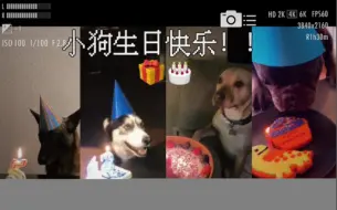 Скачать видео: “请来祝小狗生日快乐～”