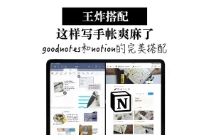 Download Video: goodnotes和notion的王炸搭配 这样写手帐日记爽麻了