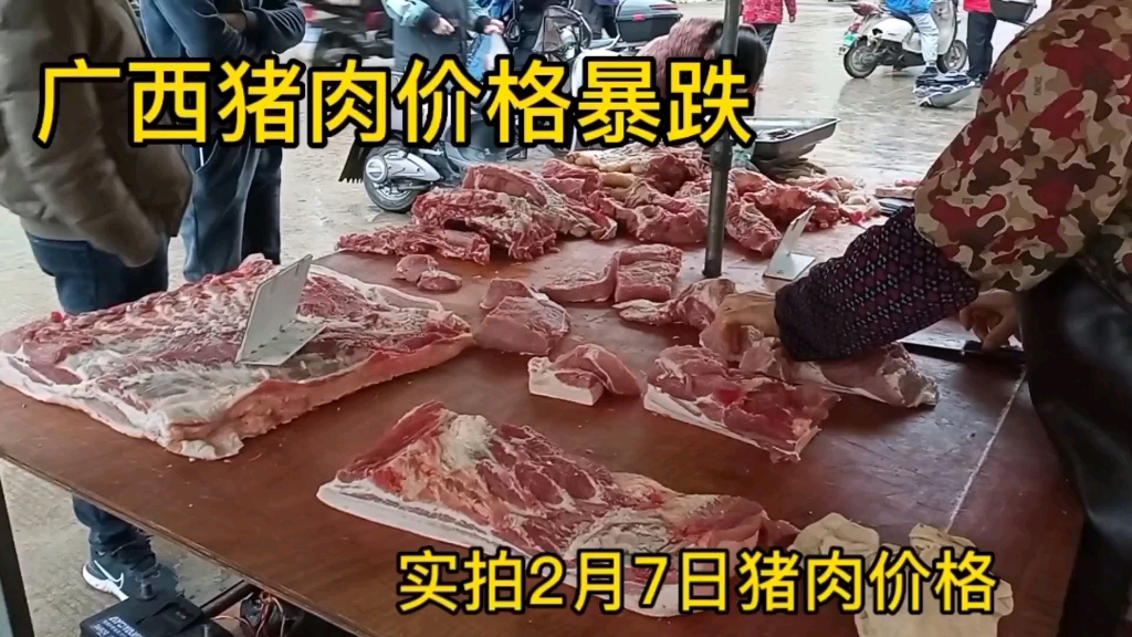 广西猪肉价格降价太吓人,实拍2月7日价格多少一斤?大吃一惊哔哩哔哩bilibili