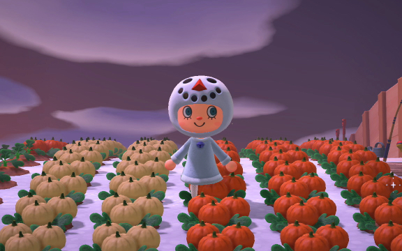 国行switch动森单机版无聊的日常032种南瓜