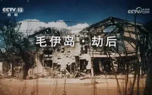 Download Video: 【微记录】毛伊岛劫后