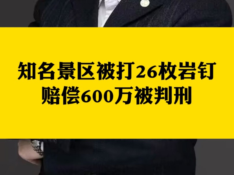 知名景区被打26枚岩钉赔偿600万被判刑哔哩哔哩bilibili