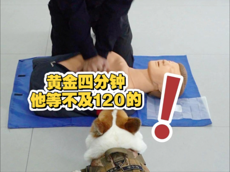 心脏骤停黄金四分钟，120赶不及的！靠的是身边人！