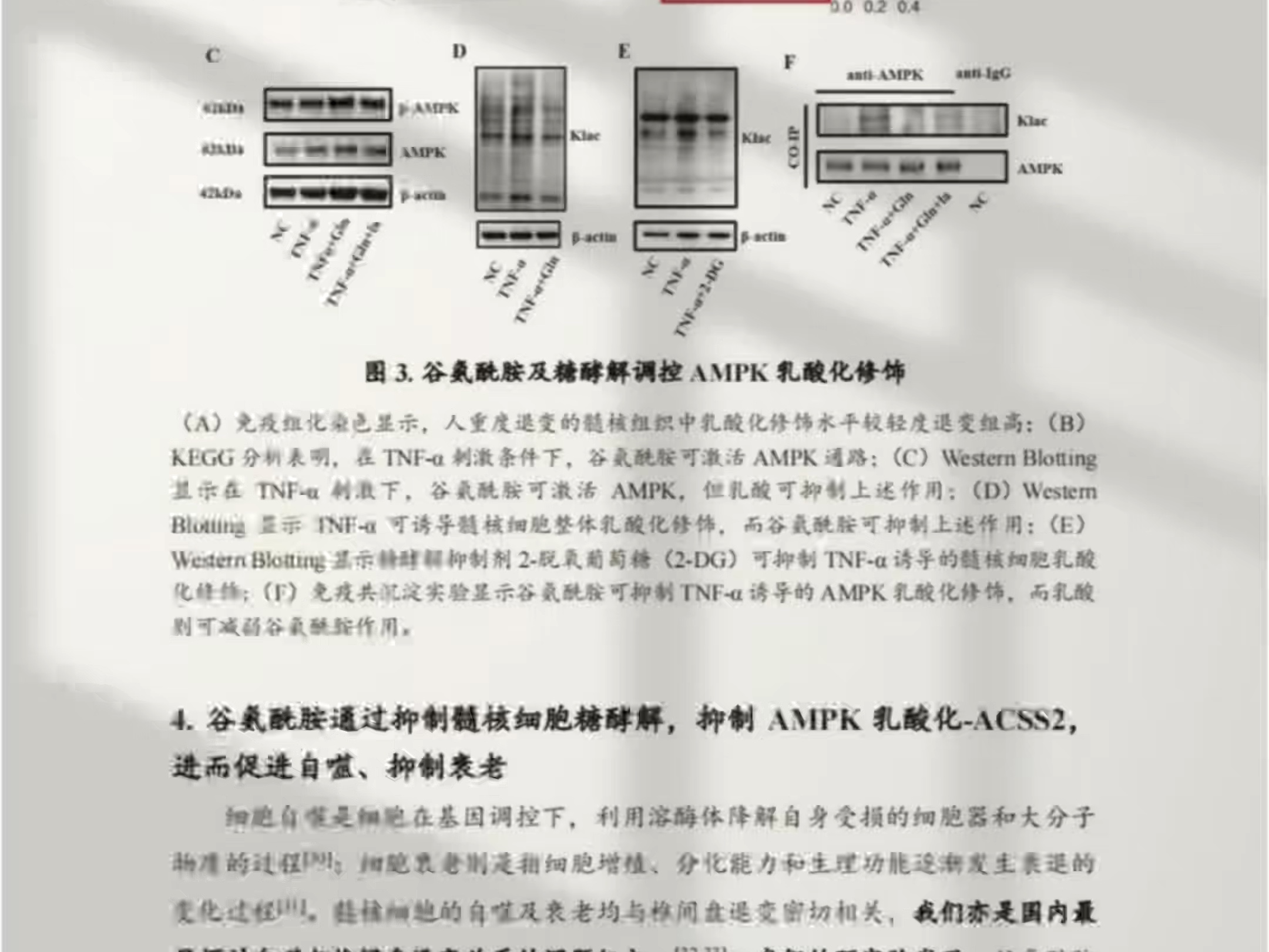 达到这个强度,国自然基金你不过谁过,国自然基金无非就这几页,抓紧看完一把拿下哔哩哔哩bilibili