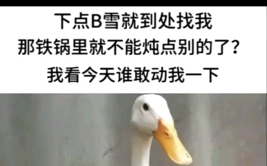 1秒钟记个单词【goose】哔哩哔哩bilibili