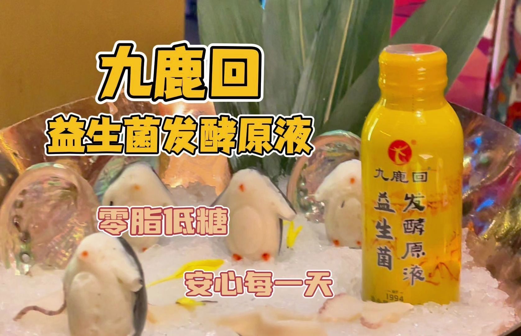 好物分享 -九鹿回益生菌发酵原液