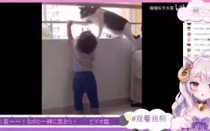 Download Video: 日本小羊看会照顾小孩子的猫猫