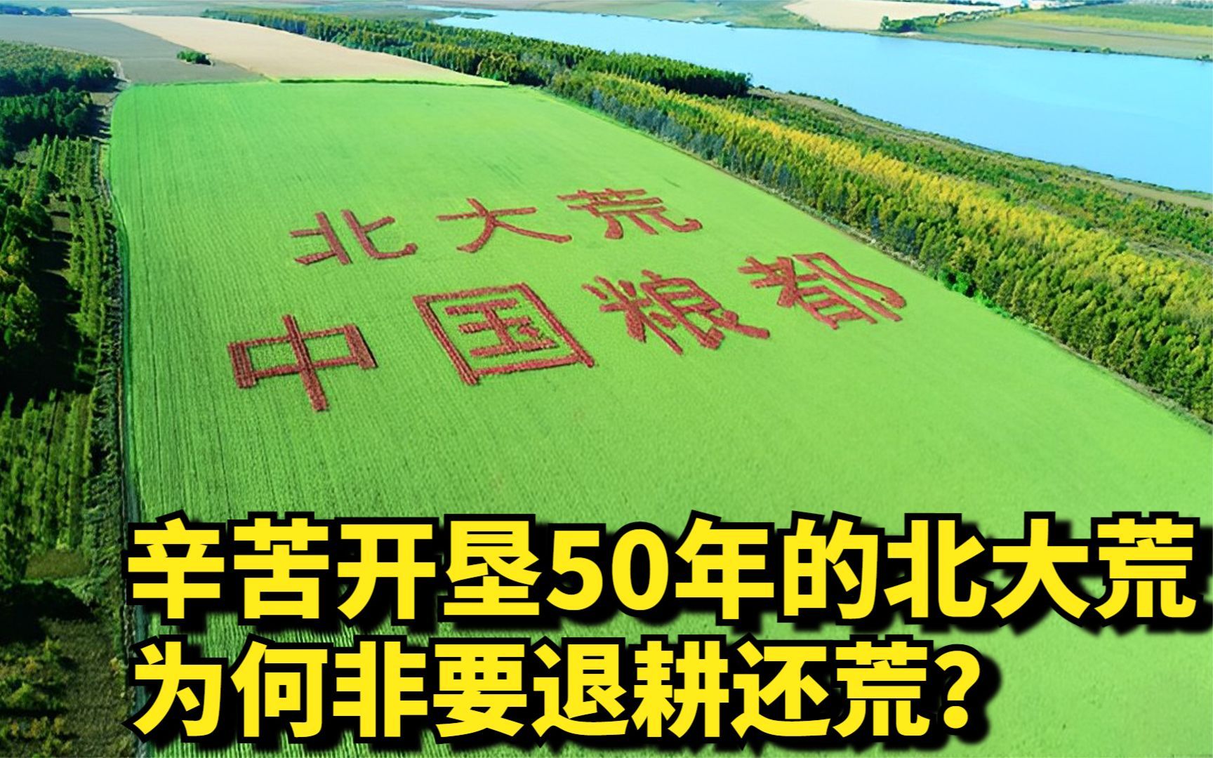 [图]辛苦开垦50年的北大荒，如今为何非要退耕还荒？