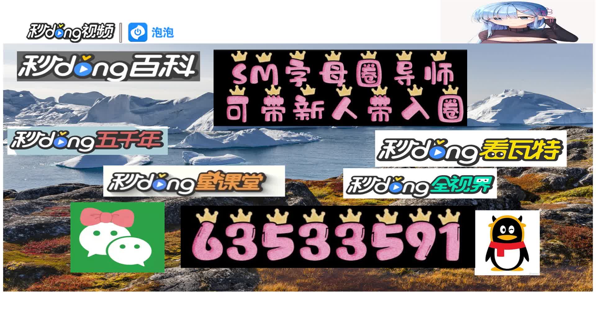 {盘点2024}带新人入圈字母圈