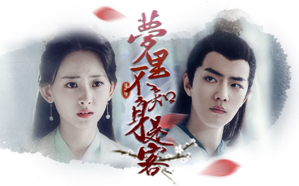 言沈cp肖战代文雯梦里不知身是客