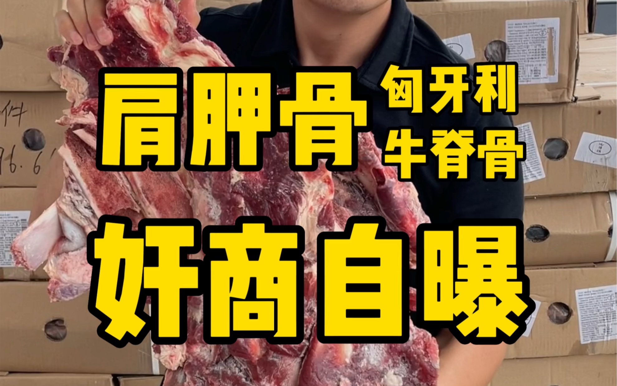 牛脊骨组合炖熟了可以哐哐赚钱#牛脊骨 #进口牛肉 #行业大揭秘哔哩哔哩bilibili