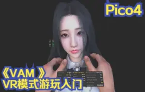 【VAM】Pico4游玩VAM-VR模式简单入门