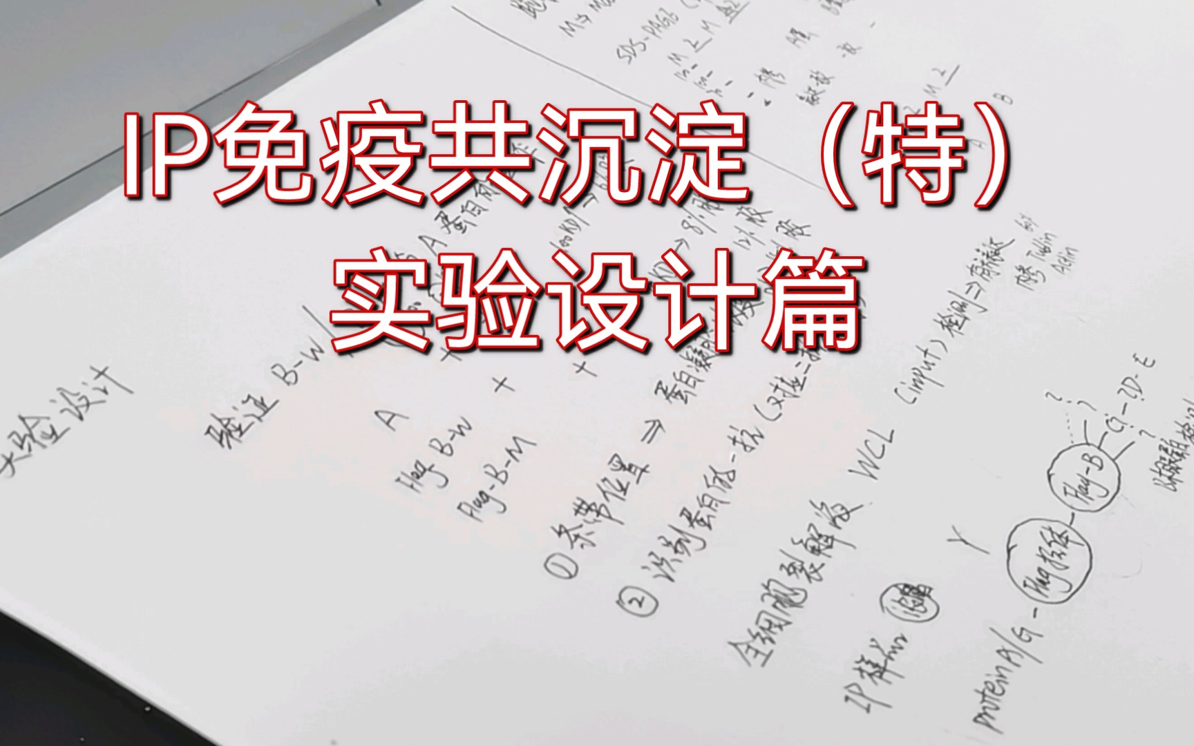 生物学小白不容错过~IP免疫共沉淀实验全流程之IP实验设计!哔哩哔哩bilibili