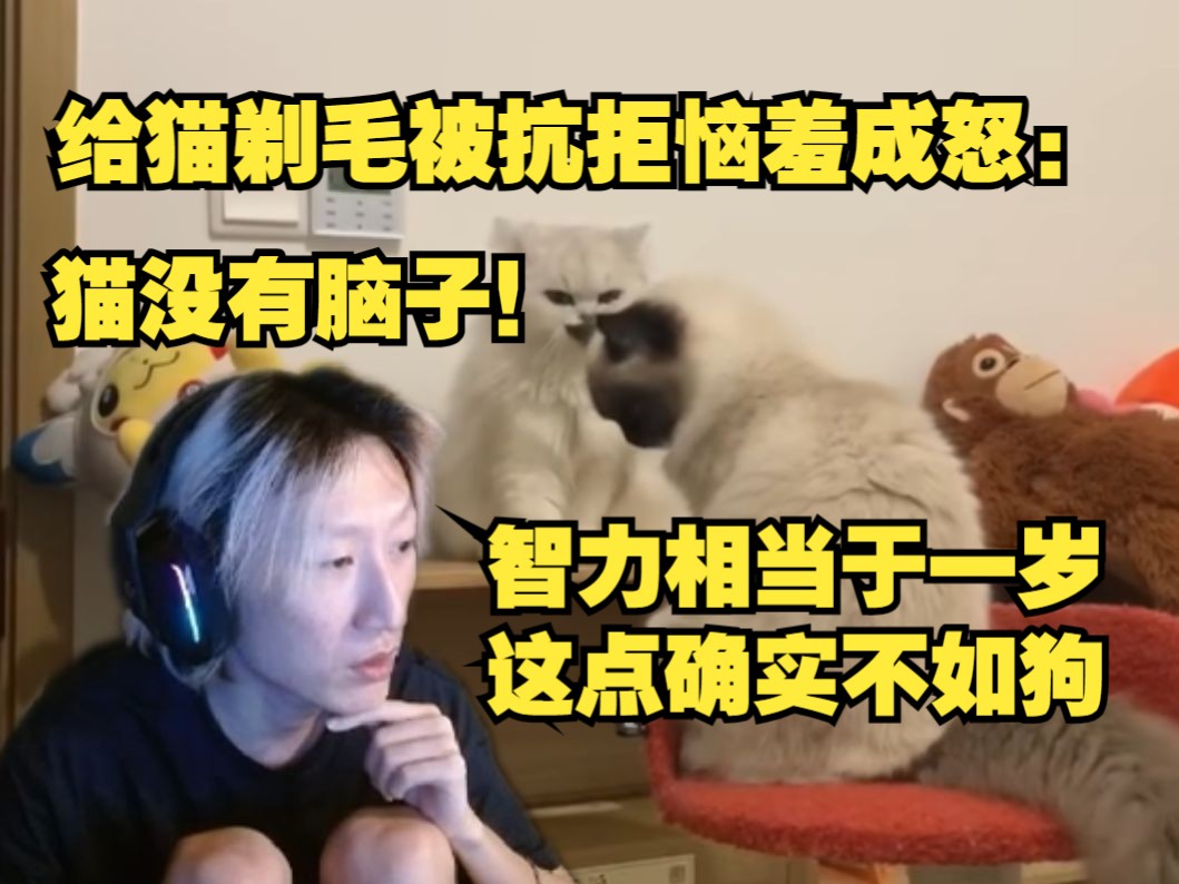 电棍:猫没有脑子不会思考!童年被蚂蚁咬变身蚁人?