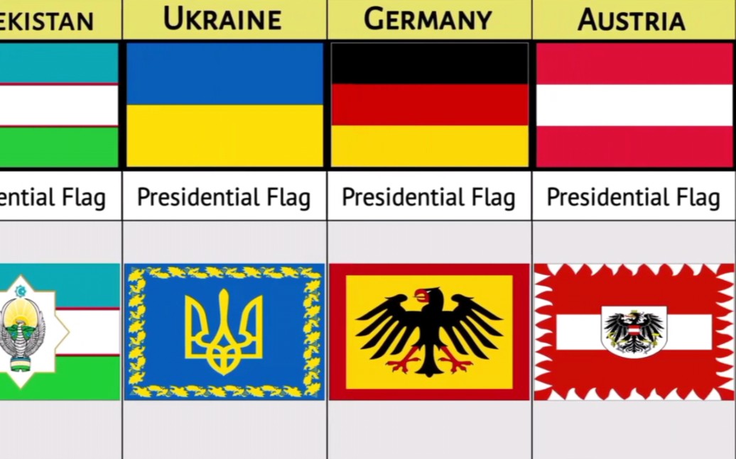 不同国家的总统旗帜哔哩哔哩bilibili