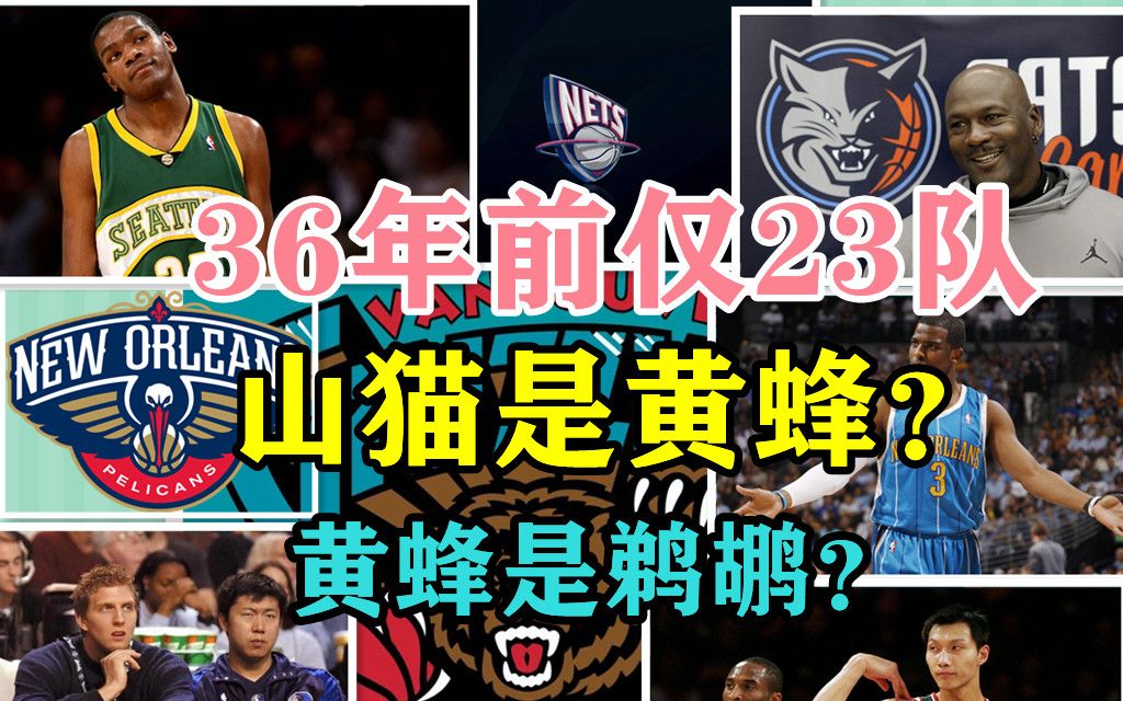 NBA球队数量名称变化,36年前仅23队,山猫是黄蜂,黄蜂是鹈鹕?哔哩哔哩bilibili