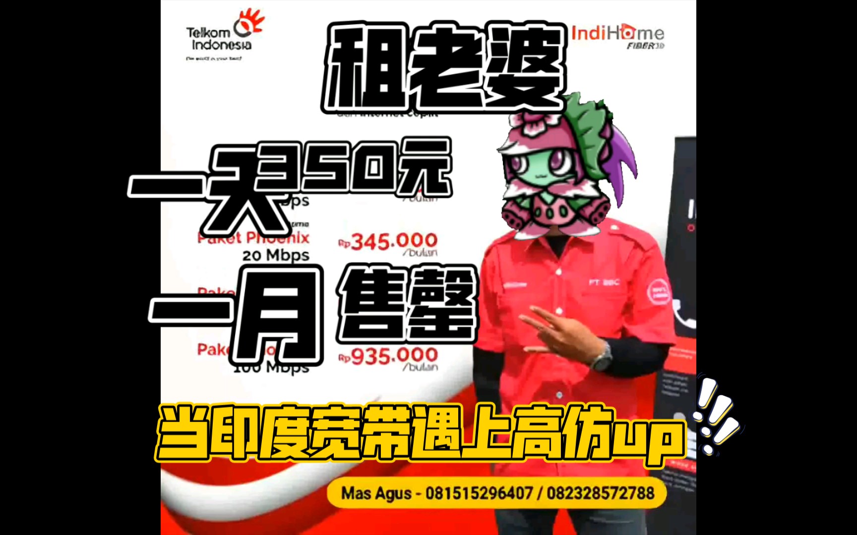 【脑洞系列】当你用pvz_bt的方式来打开印度宽带广告_植物大战僵尸2