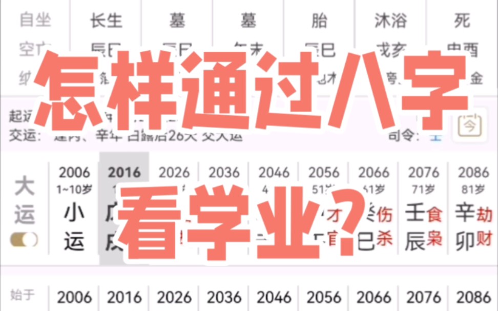 怎样通过八字看学业?哔哩哔哩bilibili