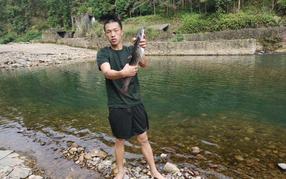 广西小伙水坝放捕鱼陷阱,捕获一条颜色与众不同塘角鱼,太意外了