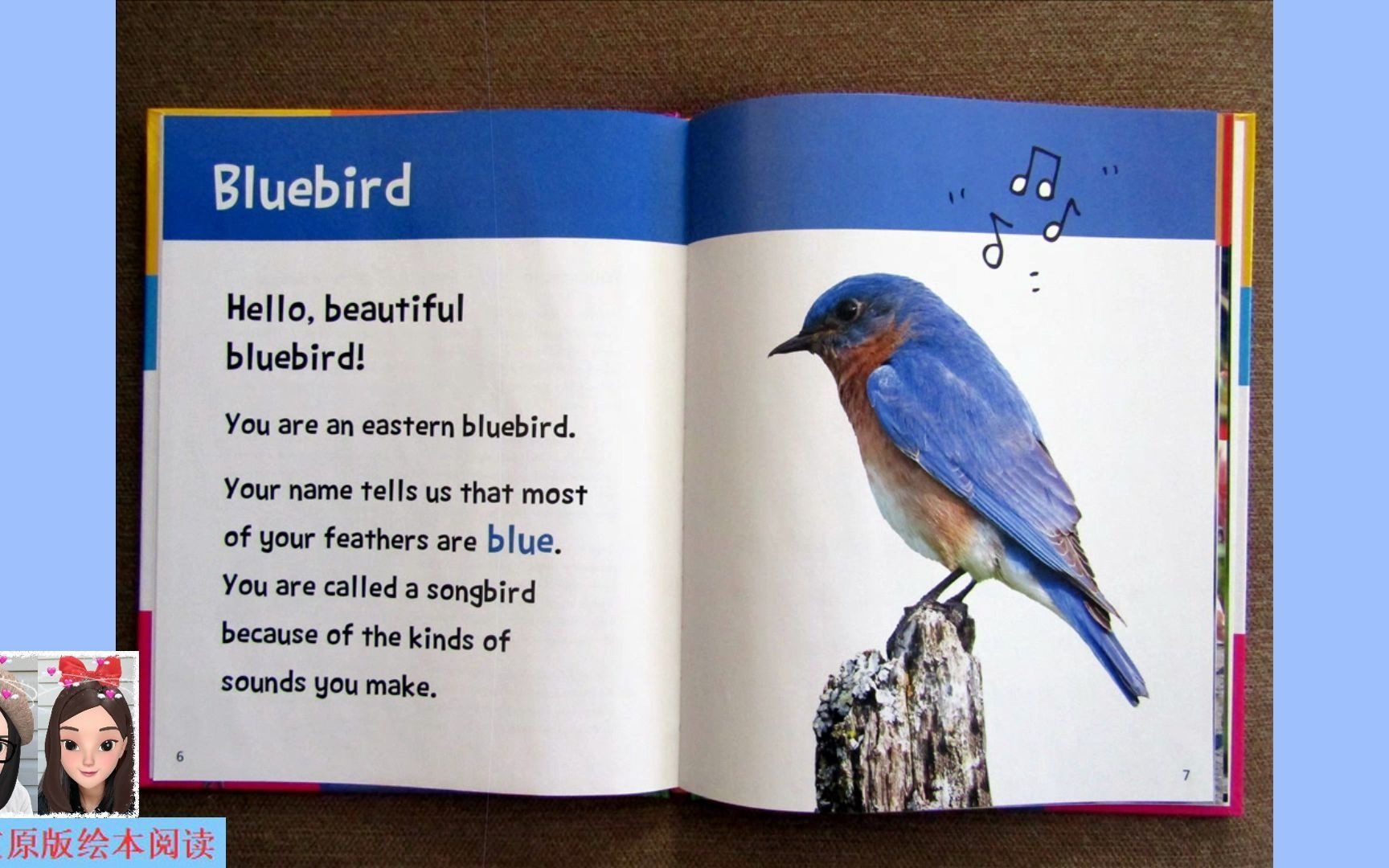 [图]【英文绘本阅读】Hello, Beautiful! Feathered Animals: bluebird 《你好，美丽！有羽毛的动物》之青鸟