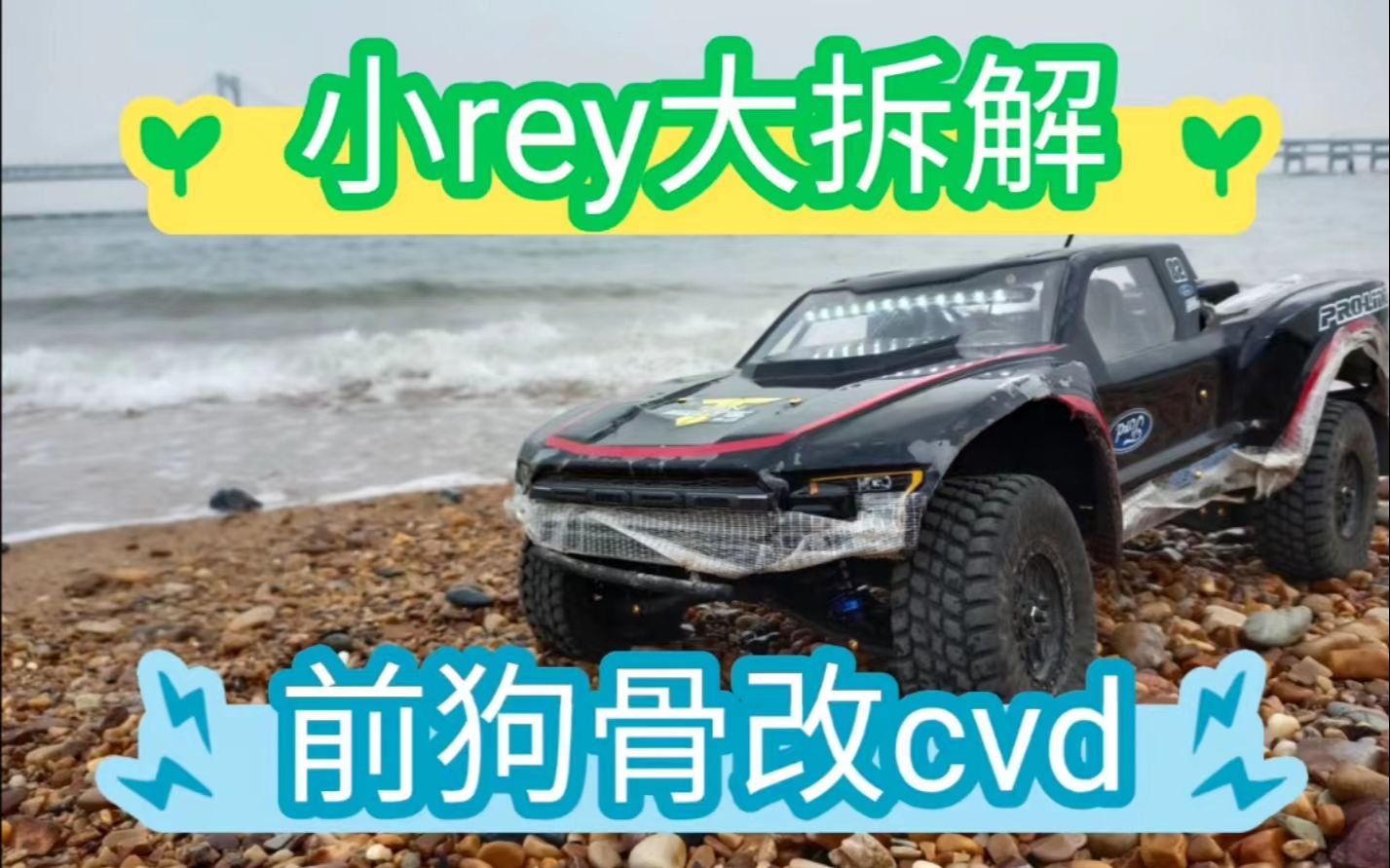 losi baja rey小rey大拆解 小rey前狗骨换cvd第一部分后差速器哔哩哔哩bilibili