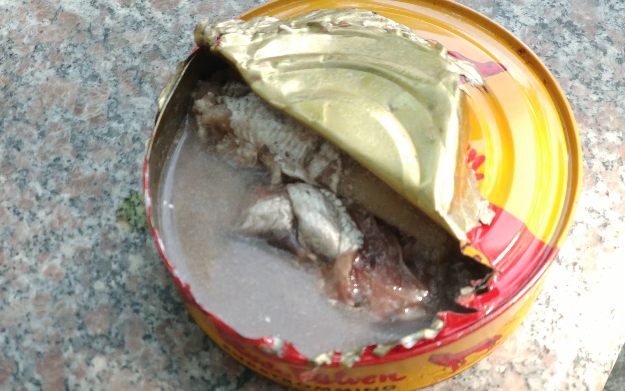 鲱鱼罐头日常作死的鲱鱼罐头试吃6106696107