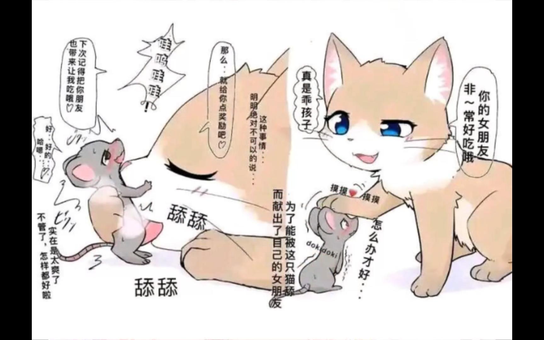 网络各种吊图第107期-白鸟艳-默认收藏夹-哔哩哔哩视频