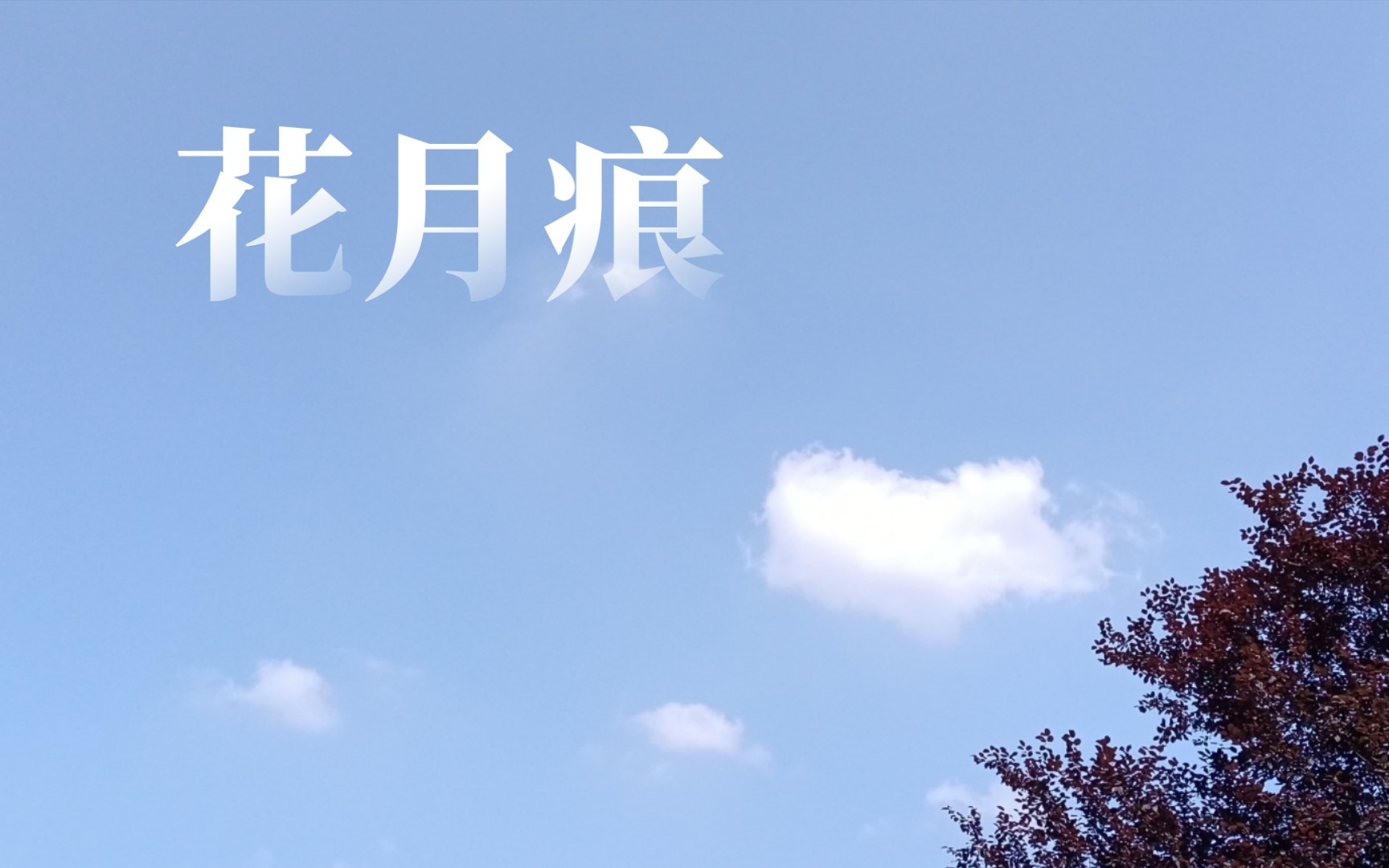 [图]【抒情诗】花月痕·多情自古空余恨