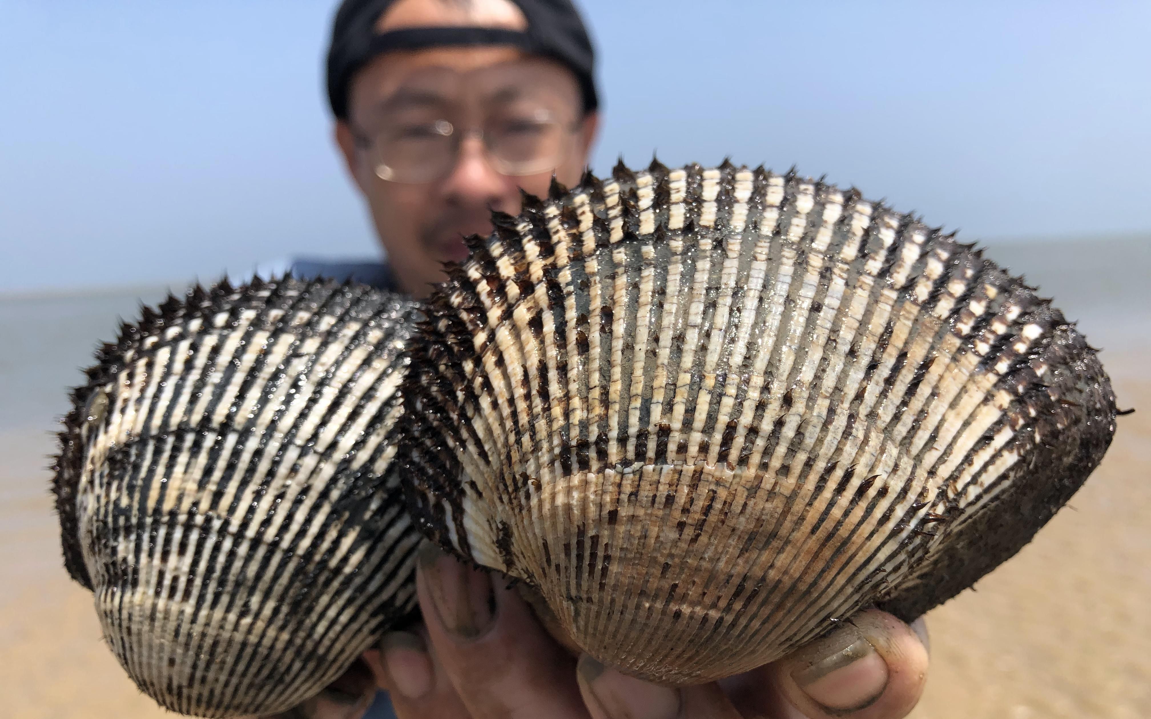 接近一米的深水里抓巨型毛蛤王个头超大二哥都被惊到震撼了