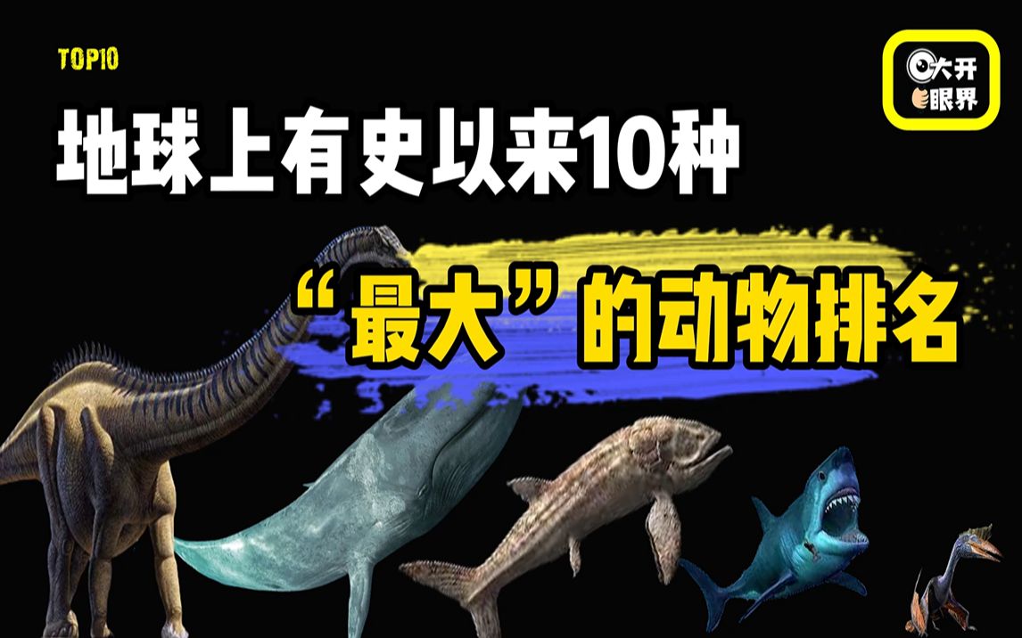 [图]地球上有史以来最大的10种动物排名，你以为蓝鲸真的是最大的了么？