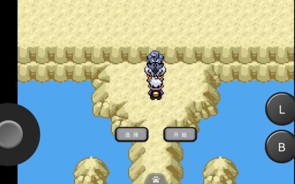 口袋妖怪漆黑的魅影之收服神兽雷公