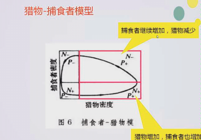 捕食关系图辨别捕食者图片