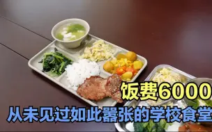 Download Video: 从未见过如此嚣张的学校食堂，学费五万，每个月饭费就要6000元