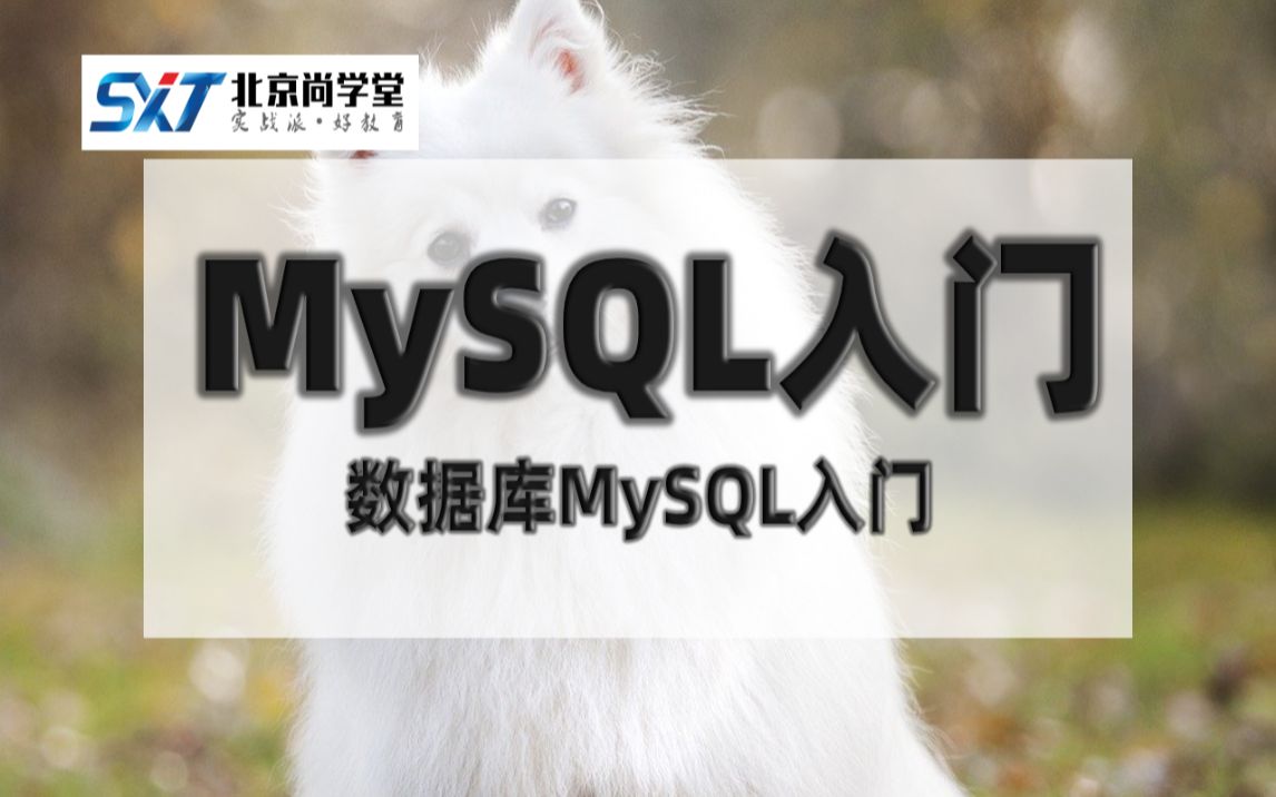 MySQL数据库新手入门最佳教程1天就可以学会MySQL数据库MySQL数据库基础知识MySQL新手入门教程详解数据库MySQL入门MySQL基本操作哔...