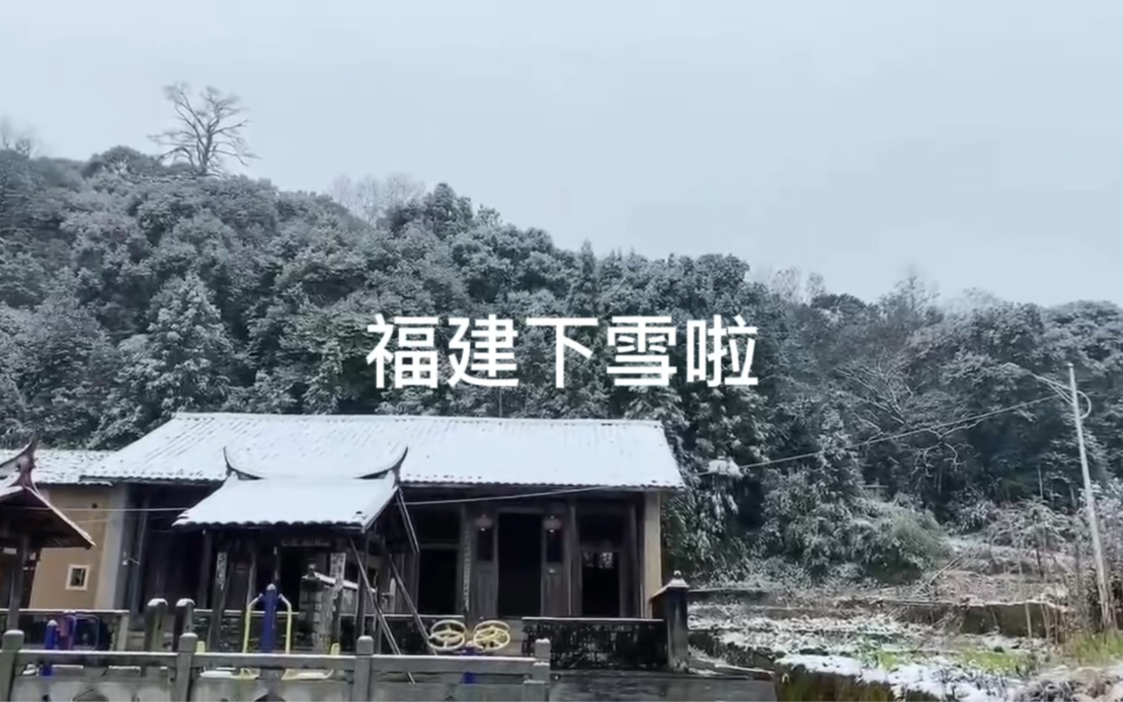 时隔20年又下雪了,驱车回老家看雪咯哔哩哔哩bilibili