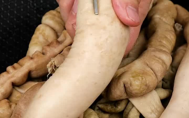猪大肠这样做软烂可口,而且还没有粑粑味!