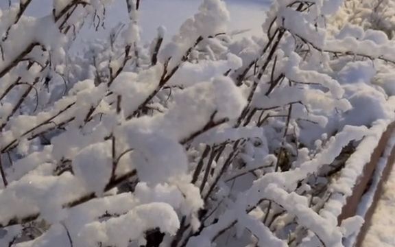 [图]住在大北极这种冰天雪地的地方，把自己穿的暖暖的很重要！