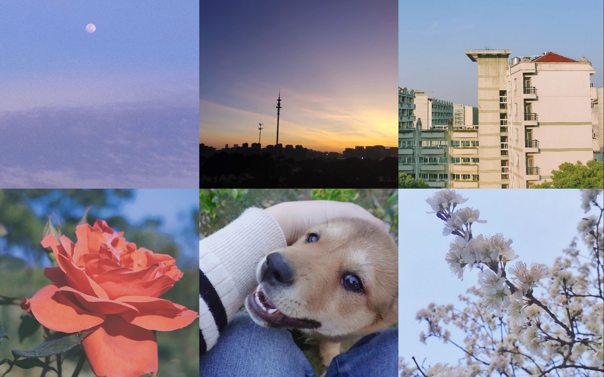 【镜头记忆】"拍下这些在别人看来不明所以,但在你眼里感慨万千的画面