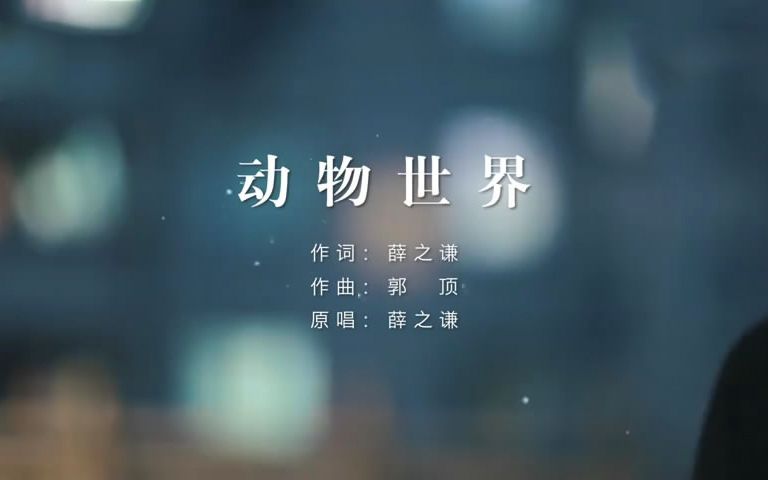 杜宣达翻唱薛之谦动物世界mv