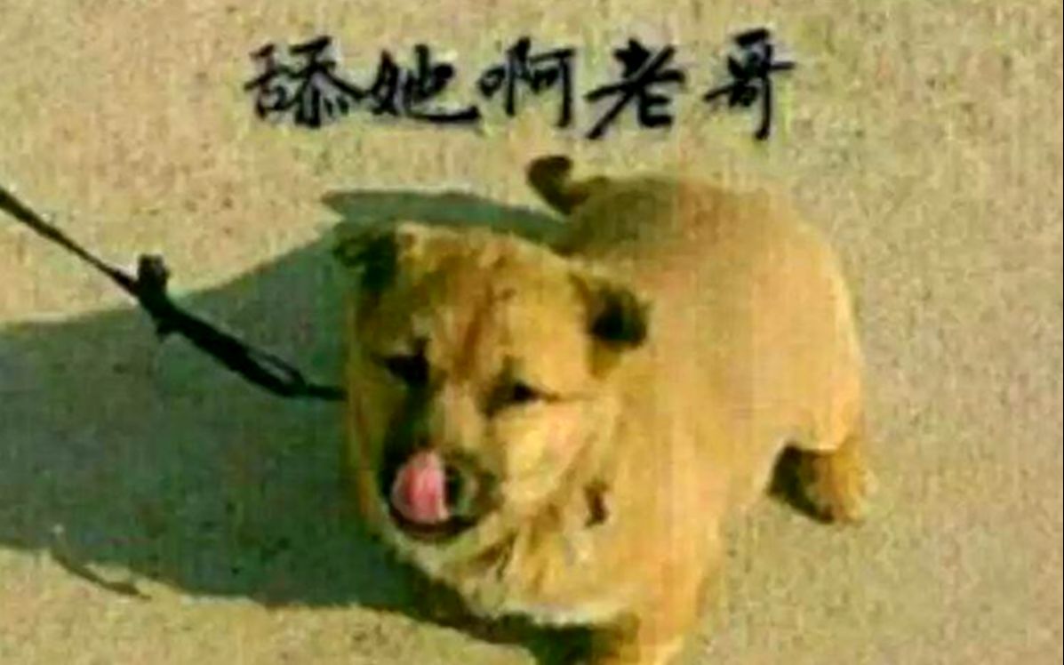 你看起来真好笑哔哩哔哩bilibili