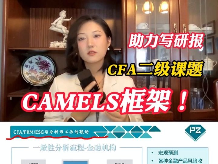 CAMELS框架,让你写研报更有逻辑!!!哔哩哔哩bilibili