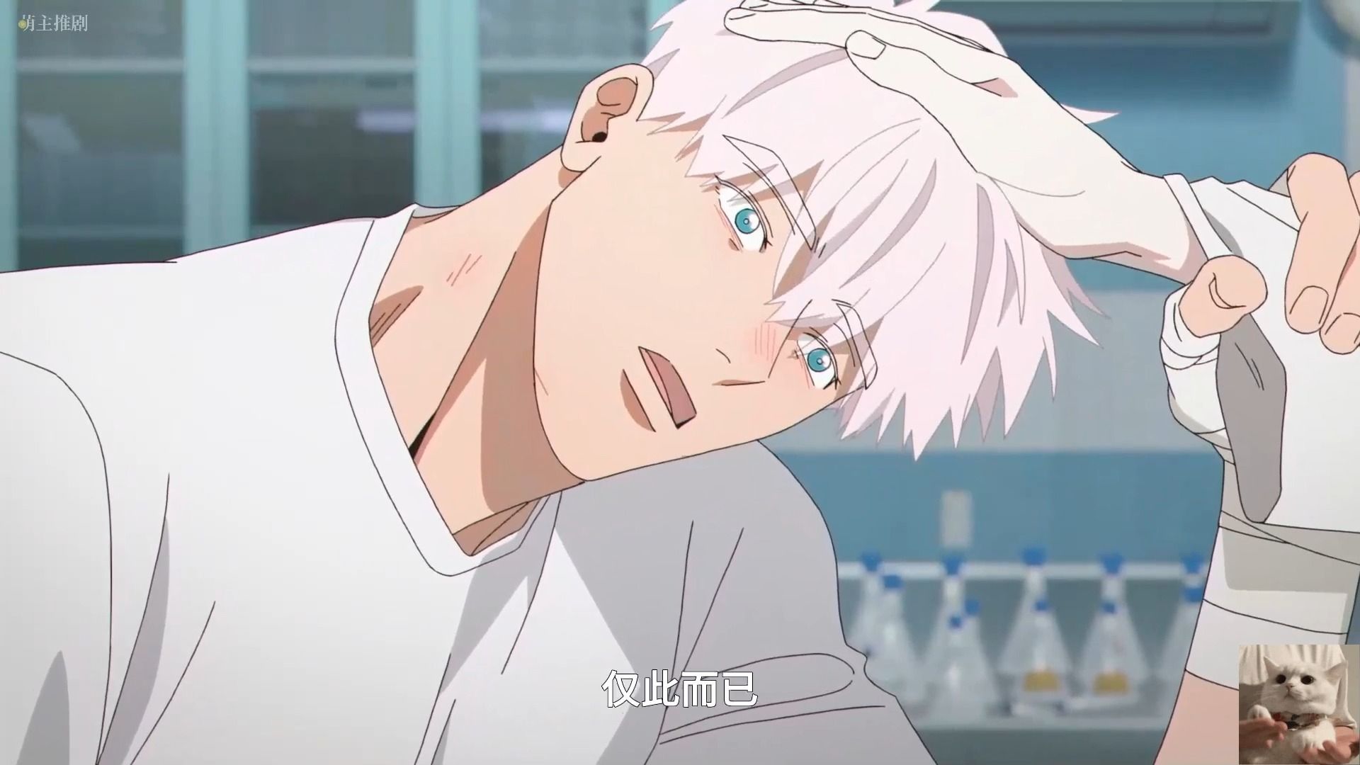 不愧是日系纯爱【mignon】