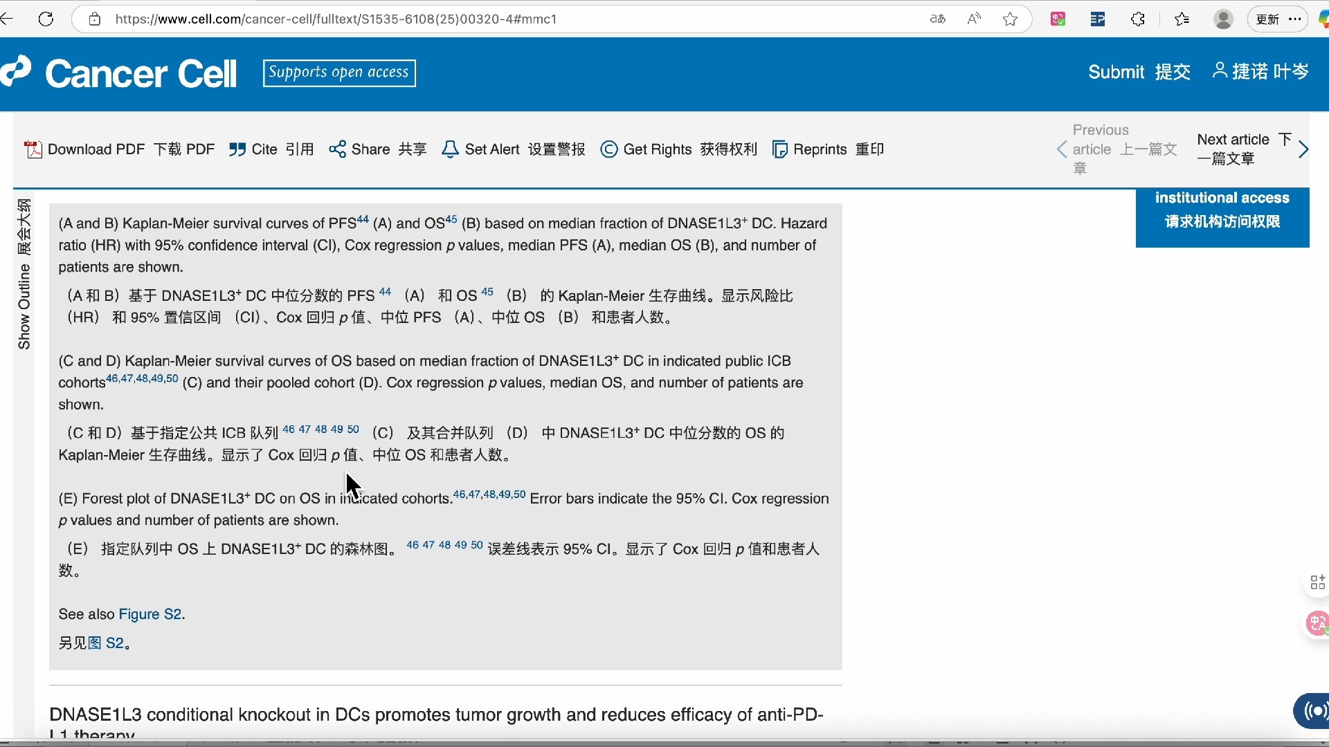 nets，nets游戏