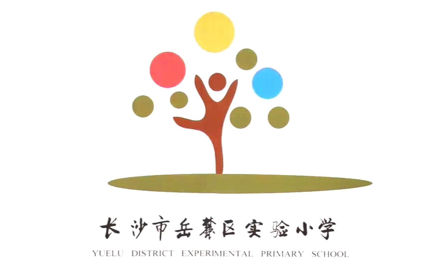 岳麓区实验小学西校区航拍